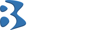 B3 Technology Solutions